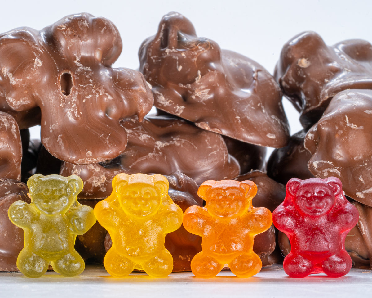 Milk Chocolate Covered Gummy Bears - 10 Lbs
